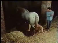 Farm xxx of a caretaker and a horse